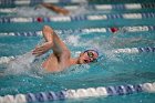 Swim vs Bentley  Wheaton College Swimming & Diving vs Bentley University. - Photo by Keith Nordstrom : Wheaton, Swimming & Diving